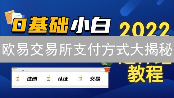 欧易交易所支付方式大揭秘：哪种最适合你？避坑指南！