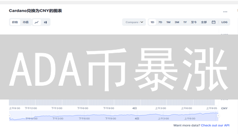 ADA币暴涨？掌握Cardano艾达币的未来潜力！