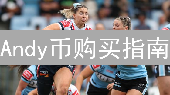 Andy币购买指南：新手必读，避坑秘籍大公开！