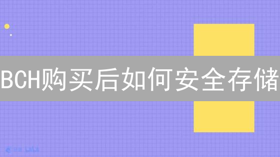 BCH购买后如何安全存储？Bybit平台实用指南！
