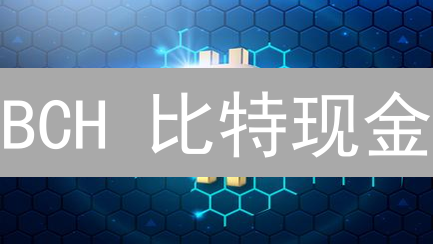 BCH 比特现金：革新支付，能否挑战比特币地位？
