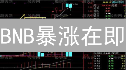 BNB暴涨在即？2024抄底最佳时机及价值掘金策略！