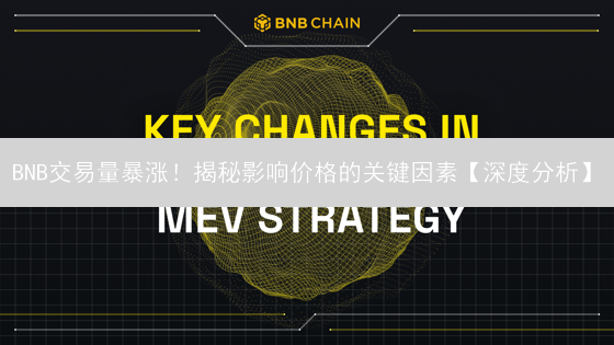 BNB交易量暴涨！揭秘影响价格的关键因素【深度分析】