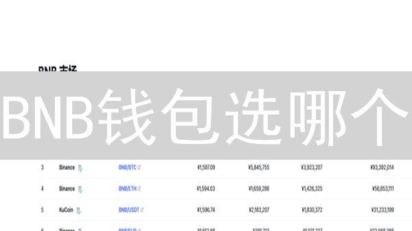 BNB钱包选哪个？新手必看！安全存储币安币终极指南！