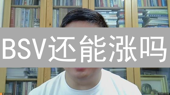 BSV还能涨吗？2024年BSV币投资机会全面解析！