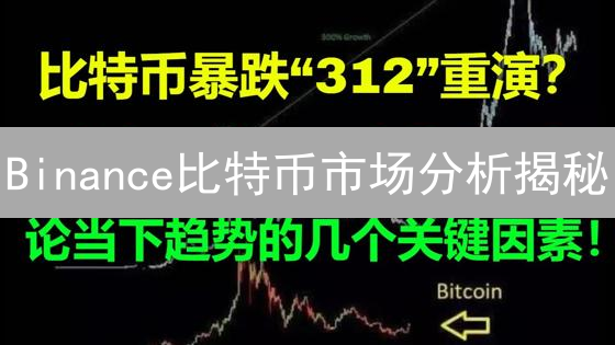 Binance比特币市场分析揭秘：新手也能掌握的投资策略？
