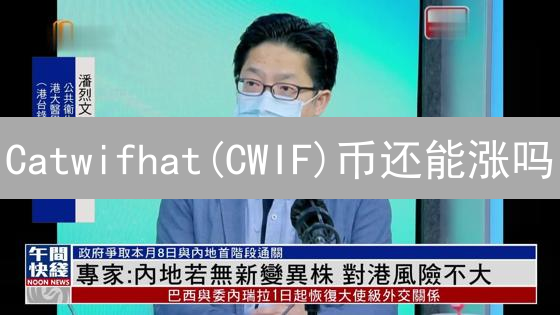 Catwifhat(CWIF)币还能涨吗？5个关键风险你必须了解！
