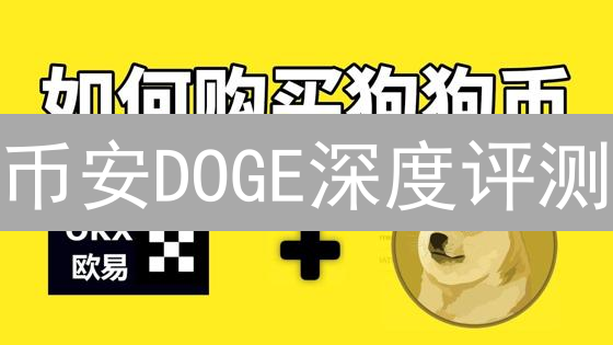 币安DOGE深度评测：交易对、流动性、费用、工具全方位对比！
