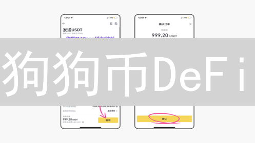 狗狗币DeFi：下一个风口？社区、速度与无限可能！