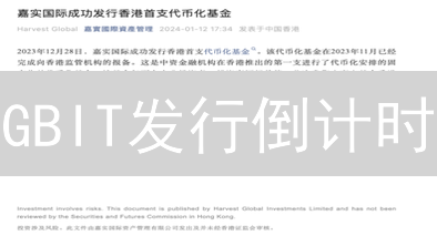 GBIT发行倒计时：揭秘GlobalBit代币的暴涨潜力！