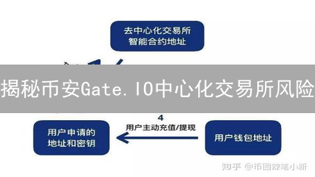 揭秘币安Gate.IO中心化交易所风险：你不可不知的避坑指南！