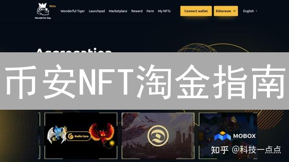 币安NFT淘金指南：避坑秘籍助你稳赚不赔！