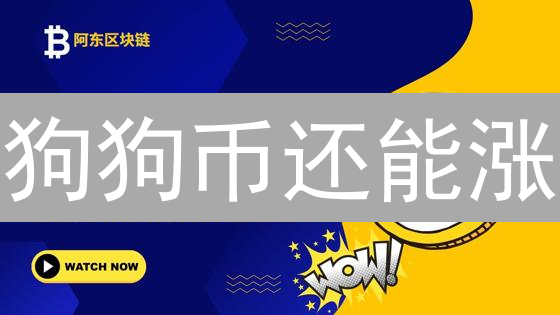 狗狗币还能涨？欧易OKX价格暴跌背后隐藏着什么？