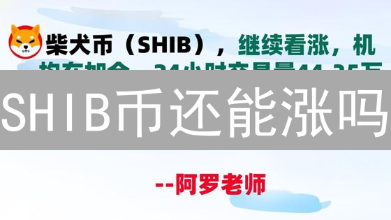 SHIB币还能涨吗？Bitget与Bigone交易风险全解析！