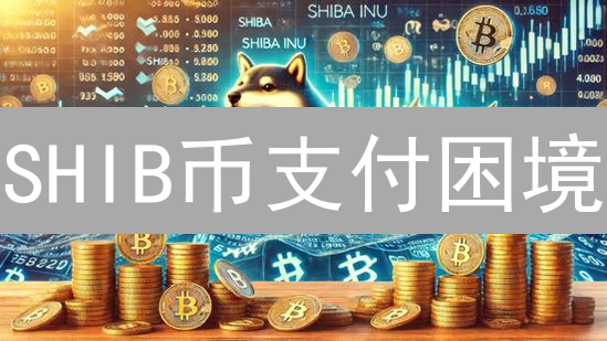 SHIB币支付困境：交易速度与Gas费，未来何解？
