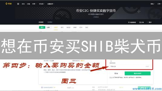想在币安买SHIB柴犬币？新手指南：从注册到交易，一文搞定！