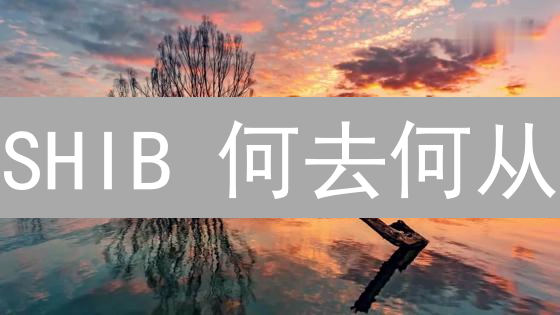 SHIB 何去何从？一文读懂力ShibaInu平台的价值与风险！
