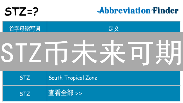 STZ币未来可期？深度剖析潜力与风险！