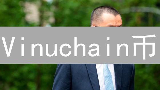 Vinuchain币：解密去中心化金融新星的技术与未来
