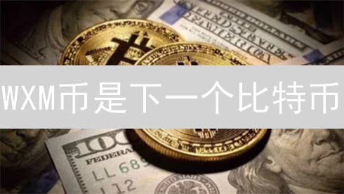 WXM币是下一个比特币？深度解析WXM币的潜力与风险！
