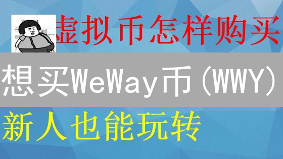 想买WeWay币(WWY)？新手必看：安全购买全攻略！