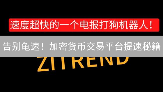 告别龟速！加密货币交易平台提速秘籍：速度提升X倍？