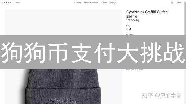 狗狗币支付大挑战：meme币如何逆袭成支付新星？