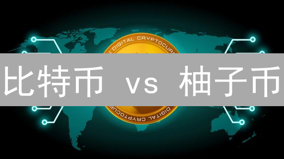 比特币 vs 柚子币：谁的回报率更高？深度对比分析！