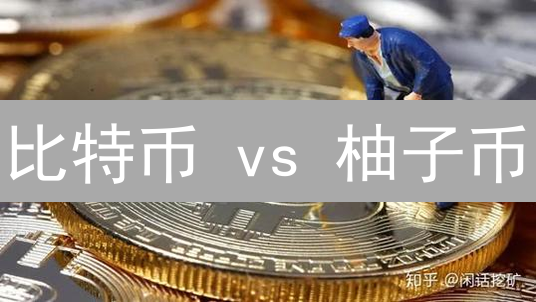 比特币 vs 柚子币：谁是更优的挖矿之王？